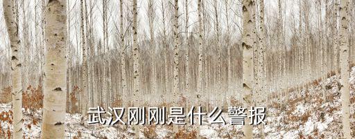 武漢剛剛是什么警報