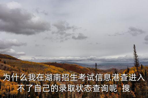 為什么我在湖南招生考試信息港查進入不了自己的錄取狀態查詢呢  搜