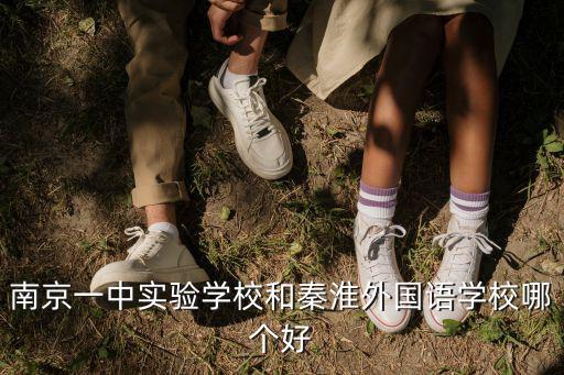南京一中實驗，南京一中實驗學校和秦淮外國語學校哪個好