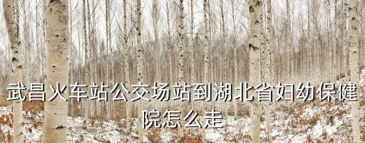 武昌火車站公交場站到湖北省婦幼保健院怎么走