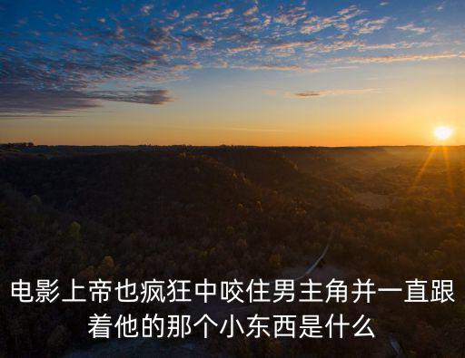 電影上帝也瘋狂中咬住男主角并一直跟著他的那個小東西是什么