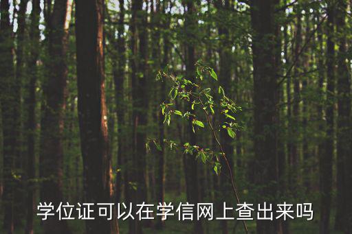 學位證可以在學信網上查出來嗎