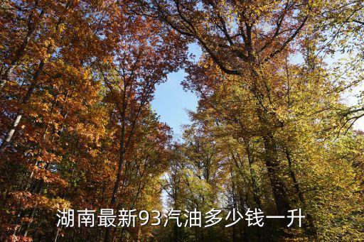 湖南最新93汽油多少錢一升