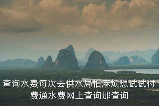 水費網上查詢系統，為什么不能在網上查水費呢別的城市可以南京為什么不行呢請盡
