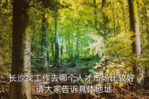 長沙市人才市場，長沙找工作去哪個人才市場比較好  請大家告訴具體地址