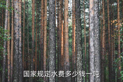 國家規定水費多少錢一噸