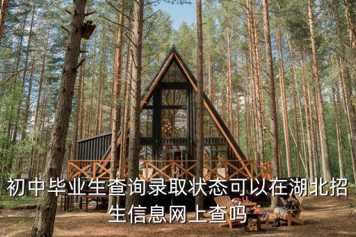 初中畢業(yè)生查詢錄取狀態(tài)可以在湖北招生信息網(wǎng)上查嗎