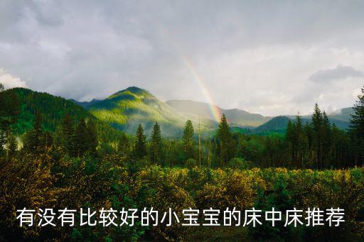 有沒有比較好的小寶寶的床中床推薦