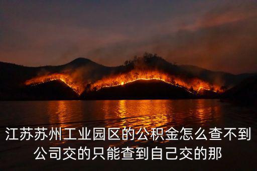 園區公積金查詢，江蘇蘇州工業園區的公積金怎么查不到公司交的只能查到自己交的那