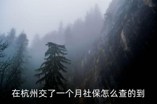 杭州社保查詢，杭州醫(yī)保卡余額查詢網(wǎng)址是
