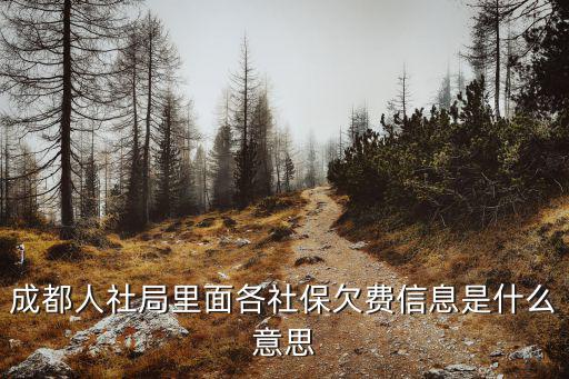 成都市人社局，成都市社保局在哪兒