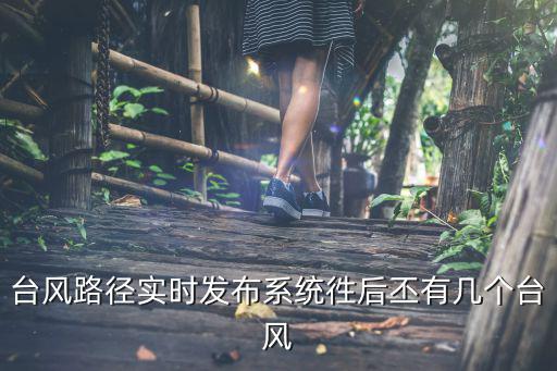 臺(tái)風(fēng)路徑實(shí)時(shí)發(fā)布系統(tǒng)徃后丕有幾個(gè)臺(tái)風(fēng)