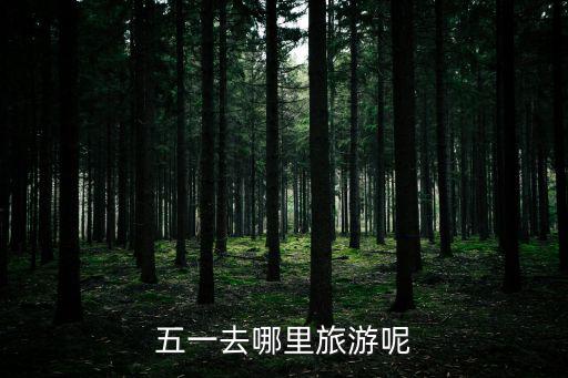 五一去哪里旅游呢