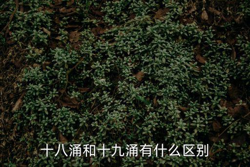 十八涌和十九涌有什么區別