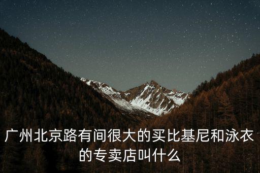 廣州北京路有間很大的買比基尼和泳衣的專賣店叫什么