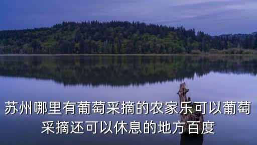 蘇州哪里有葡萄采摘的農家樂可以葡萄采摘還可以休息的地方百度