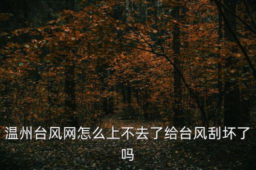溫州臺風網怎么上不去了給臺風刮壞了嗎