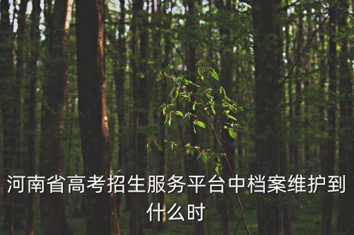 河南省高考招生服務平臺中檔案維護到什么時