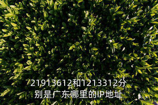 21913612和1213312分別是廣東哪里的IP地址