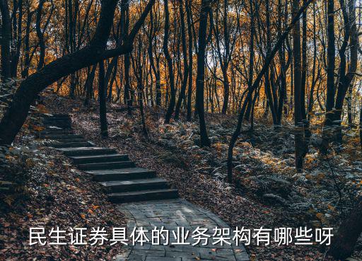 民生證券具體的業務架構有哪些呀