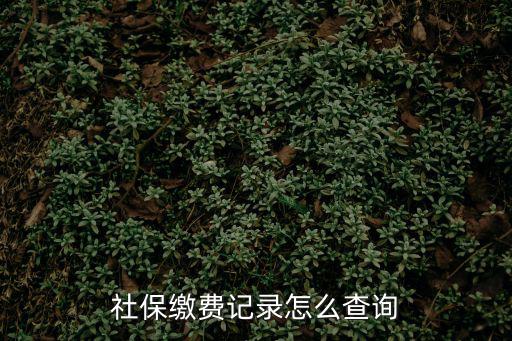 社保繳費記錄怎么查詢