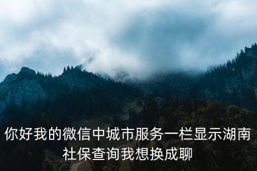 你好我的微信中城市服務一欄顯示湖南社保查詢我想換成聊