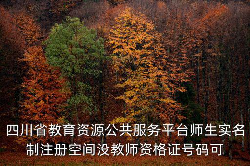 四川省教育資源公共服務平臺師生實名制注冊空間沒教師資格證號碼可
