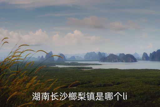 湖南長沙榔梨鎮(zhèn)是哪個(gè)li