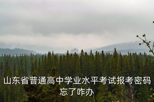 山東省普通高中學(xué)業(yè)水平考試報(bào)考密碼忘了咋辦