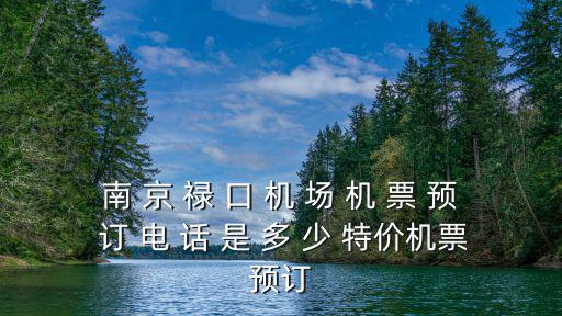 南 京 祿 口 機(jī) 場(chǎng) 機(jī) 票 預(yù) 訂 電 話 是 多 少 特價(jià)機(jī)票預(yù)訂