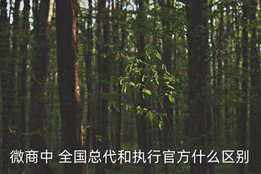 全國執行，微商中 全國總代和執行官方什么區別