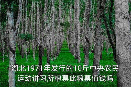 湖北1971年發行的10斤中央農民運動講習所糧票此糧票值錢嗎