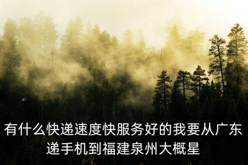 有什么快遞速度快服務好的我要從廣東遞手機到福建泉州大概星