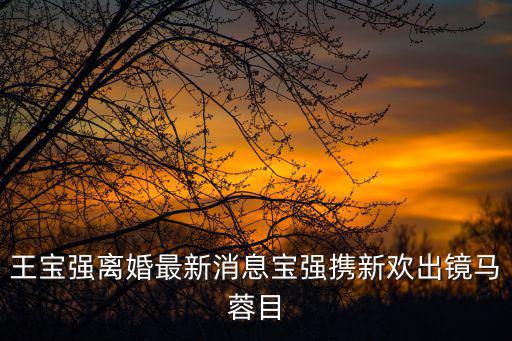 王寶強(qiáng)離婚最新消息寶強(qiáng)攜新歡出鏡馬蓉目