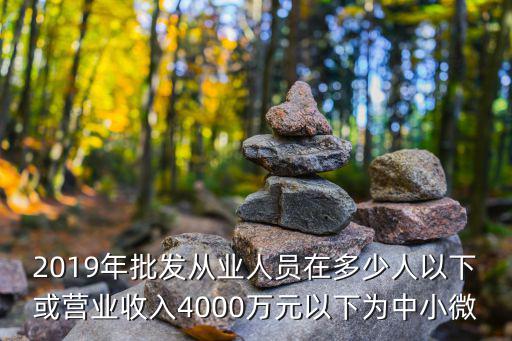 2019年批發從業人員在多少人以下或營業收入4000萬元以下為中小微