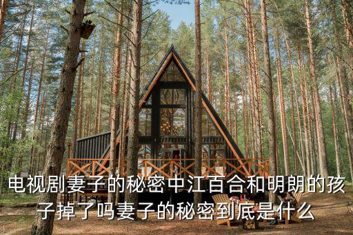 電視劇妻子的秘密中江百合和明朗的孩子掉了嗎妻子的秘密到底是什么