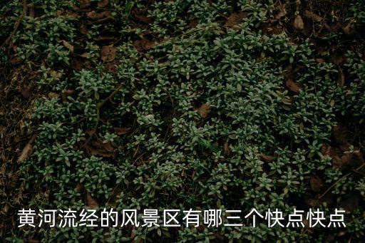 黃河景區，黃河旅游景點有哪些火車過黃河一車人都看