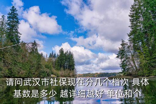 武漢社保繳費(fèi)基數(shù)檔次，請(qǐng)問武漢市社保現(xiàn)在分幾個(gè)檔次 具體基數(shù)是多少 越詳細(xì)越好 單位和個(gè)