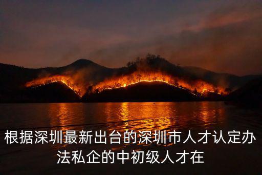 人才認定，根據深圳最新出臺的深圳市人才認定辦法私企的中初級人才在