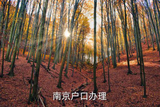 南京戶口，外地戶口如何落戶南京