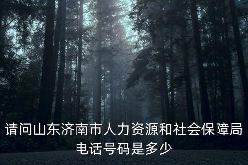 請問山東濟南市人力資源和社會保障局電話號碼是多少
