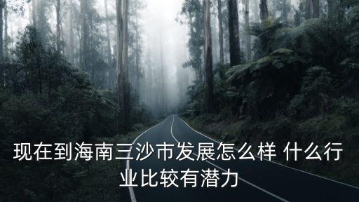 現在到海南三沙市發展怎么樣 什么行業比較有潛力