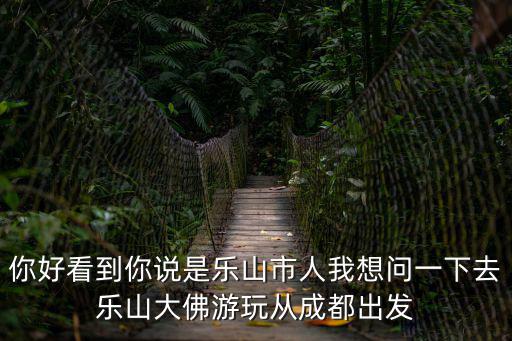 你好看到你說是樂山市人我想問一下去樂山大佛游玩從成都出發