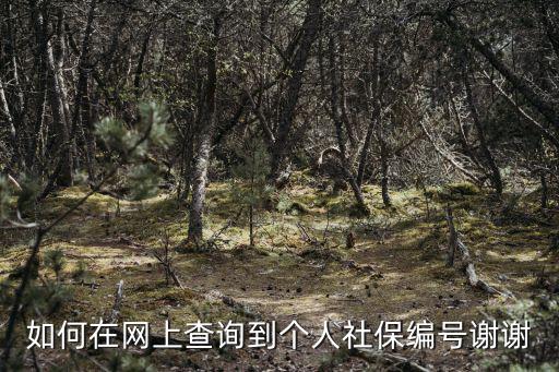 如何在網上查詢到個人社保編號謝謝