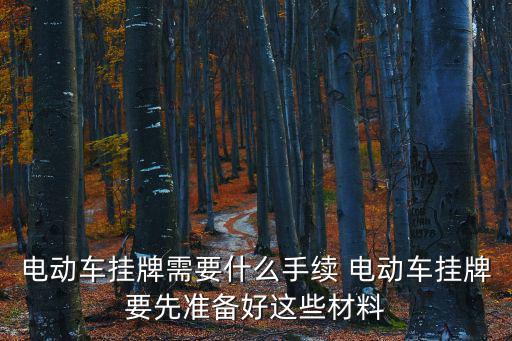電動車掛牌，電動車掛牌需要什么手續 電動車掛牌要先準備好這些材料