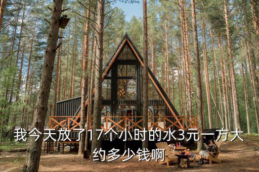我今天放了17個小時的水3元一方大約多少錢啊
