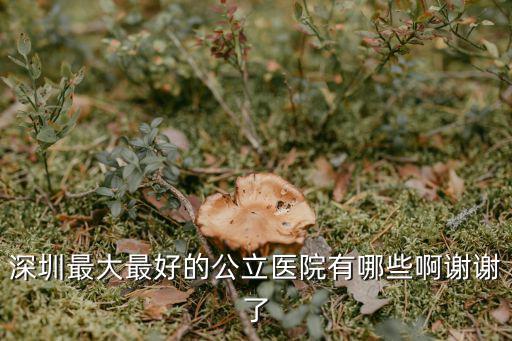 深圳最大最好的公立醫院有哪些啊謝謝了