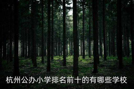 杭州公辦小學排名前十的有哪些學校