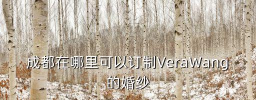 成都在哪里可以訂制VeraWang的婚紗
