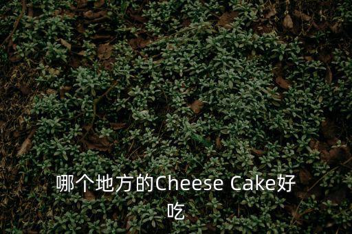 哪個地方的Cheese Cake好吃